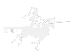 Rennend paardje